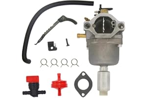 Ewillownm Compatible avec carburateur 698620 799727 pour Briggs & Stratton 287707 287776 287777 310707 310777 28N707