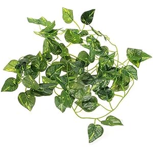 iknowy Künstliche Pflanze Terrariumpflanze Aquarium Kunstpflanze Dekoration Grün