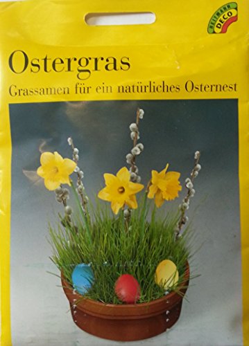 Preisvergleich Produktbild Grassamen für Ostergras