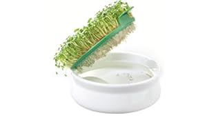 Germ'line - Coupelle de Germination | Spéciale Graines à Mucilage | Cresson, Moutarde, Chia, Basilic | Grès Émaillé & Fibre de Blé | Fabrication Française