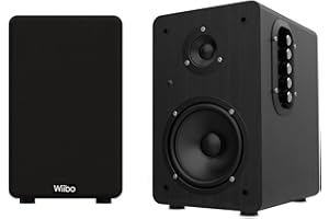 WIIBO ACOUSTICS Wiibo Neo 100 Black - Altavoces Activo y Pasivo Profesionales - Potencia de 100W - Altavoz con Bluetooth - Conexión USB/SD - Sistema Bass Reflex - Mando a Distancia Incluido - Color Negro