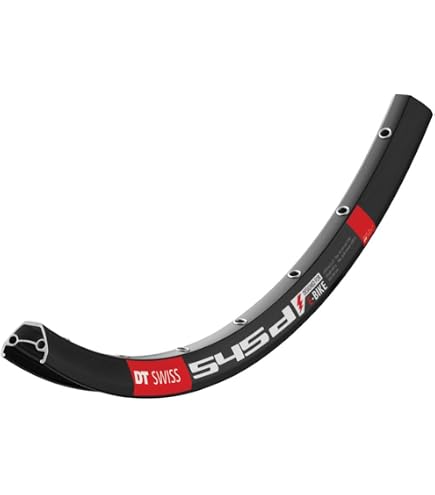 Y　36 tdf DT Swiss Felgen DT U 663 Hy 36H BK 26 : Amazon.de: Sport & Freizeit