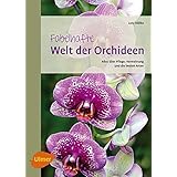 Fabelhafte Welt der Orchideen: Alles über Pflege, Vermehrung und die besten Arten