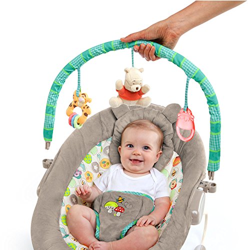 Disney Baby 60256 Winnie the Pooh Dots und Hunny Pots Wippe - 5