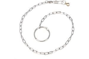 SHEENS Cadena de pie de pájaro de Acero Inoxidable con Anillo Accesorios de Anillo de pie de Tobillo Parrot Anti Escape(Little Sun)