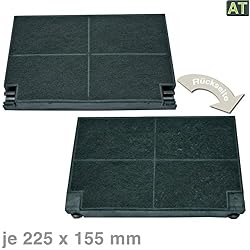 Vioks - Filtre à charbon actif pour hotte aspirante - Pour AEG Zanussi 5023298000 - 8 EFF55 - 225 x 155 mm