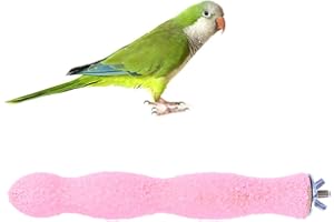 POPETPOP Pappagallo uccello stand parrocchetto in legno sabbia ruvida posatoi rettifica chiodo accessori 20cm (colore casuale)