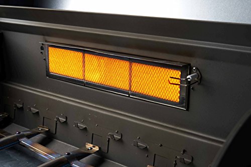 El Fuego Gasgrill Bellevue, silber - 6