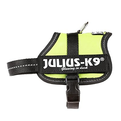Trixie Harnais pour Chien Power Julius-k9 Baby Vert Pastel 2/XS–S 33–45 cm