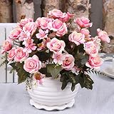 Bien hecho, colorido y se ve genial para la decoración del hogar o del lugar, como bodas, tiendas, restaurantes, oficinas, etc. Adecuado para uso en interiores y exteriores, creando un ambiente agradable. Mézclelos con una variedad de diferentes flores y arreglos, o utilícelos por separado.