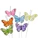 Produktbild Feder Schmetterling 6 cm 24 Stück Frühlingsdeko Blumendeko bunt