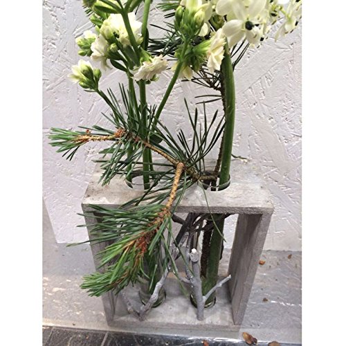 Vase mit zwei Reagenzgläsern in Holzrahmen – Reagenzglasvase Vasen Tischvase Glasvase - 2