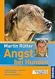 Image de Angst bei Hunden: Unsicherheiten erkennen und verstehen Vertrauen aufbauen