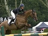 RIHS 2017: Speed Classic