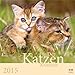 Der Katzenkalender 2015 by 