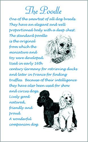 Poodle Dog Gift - Unique Breed Facts Microfibre Tea Towel.