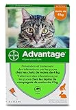 ADVANTAGE Chat - Anti-Puces pour Chats - Moins de 4KG - 4 Pipettes