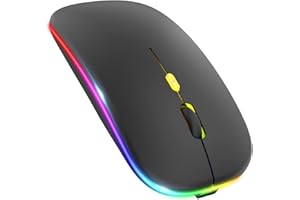 PASONOMI Aktualisierung Kabellose Maus, LED Wiederaufladbare Leise Funkmaus Laptop Wireless Mouse, 2.4G USB Mäuse mit USB-Empfänger Typ-C Kompatibilität mit Computer/PC/Tablet (Schwarz)