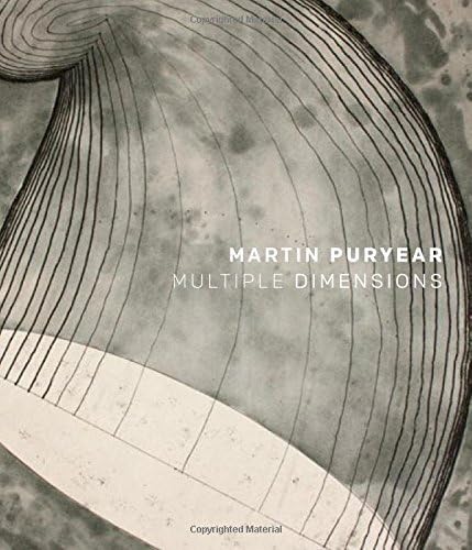 Martin Puryear: Multiple Dimensions (Elgar EU Energy Law series)