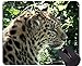 Produktbild Kundenspezifische ursprüngliche Leopard-Reihen-Mausunterlage, Leopard-wilder Leopard-rutschfeste Gummibasis Mousepad