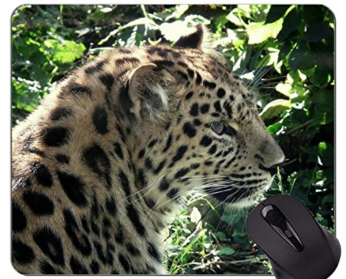 Preisvergleich Produktbild Kundenspezifische ursprüngliche Leopard-Reihen-Mausunterlage, Leopard-wilder Leopard-rutschfeste Gummibasis Mousepad