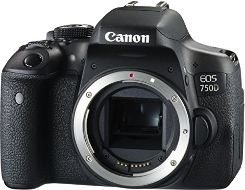 Canon EOS 750D - Appareil Photo Num rique R flex 24 MP Objectif 18-55mm Objectif 50mm - Noir reviews Canon EOS 750D - Appareil Photo Num rique R flex 24 MP Objectif 18-55mm Objectif 50mm - Noir