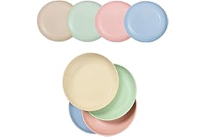 RAMONI 4Pcs Plastic Picnic Plates, Plastic Plates Dinner Plates, Reusable Camping Picnic Plates, Microwave, Dishwasher & Freezer for Kids, Children, Picnic, Camping & BBQ, Colourful