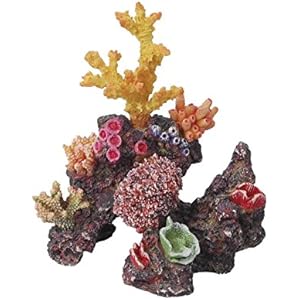 Haquoss Reef Dream 15, 15x 10x 17H cm
