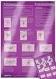 Yoni-Massage Kurzanleitung (2017) - 23 Massage-Techniken für die Tantramassage und mehr Genuss beim Sex - Praktische Schnellübersicht und Spickzettel ... für die Frau [DIN A4 - zweiseitig, laminiert] by 