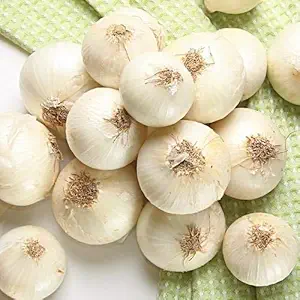 Creative Farmer Vegetable Seeds White Onion Seeds Kalonji Seeds - Onion White Seeds Exotic Seeds Home Garden Seeds