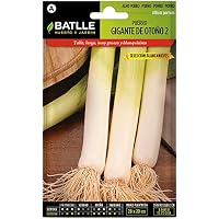 Amazon.es: Plantas, semillas y bulbos: Jardín: Semillas, Plantas ...