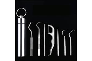 Qiwenr 6Pcs Llavero Portátil Palillo de Dientes，Palillo de Dientes de Acero Inoxidable Limpiador Dientes de Metal Raschietto Portatile per Stuzzicadenti da Viaggio，for Outdoor Picnic Camping (Silver)