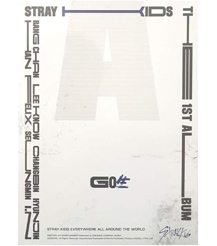 K-POP・アジア Stray kids The First Photobook STRAY KIDS GO Live 生 (Standard Ver.) The First Album B Type