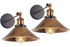 PETITES ECREVISSES 2 Piezas Aplique de Pared industrial Lámparas de Pared E27 Iluminación Interior Luz de Pareds ø22cm Metal Ajustable Lámparas para Salón Pasillo