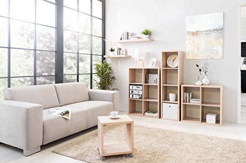 Regal, Bücheregal, Holzregal ,Regalsystem, Aktenregal, Raumtrenner, Maße: B/H/T 107/107/33 cm - 3