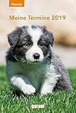 Terminkalender Hunde 2019 by 
