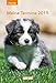Terminkalender Hunde 2019 by 