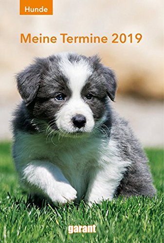 Terminkalender Hunde 2019