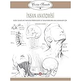 &Ccedil;izim Sanatı Serisi 6 İnsan Anatomisi: G&uuml;zel Sanatlar Fak&uuml;ltesi &Ouml;ğrencileri ile Sanatkarların Kullanmaları İ&ccedil;in