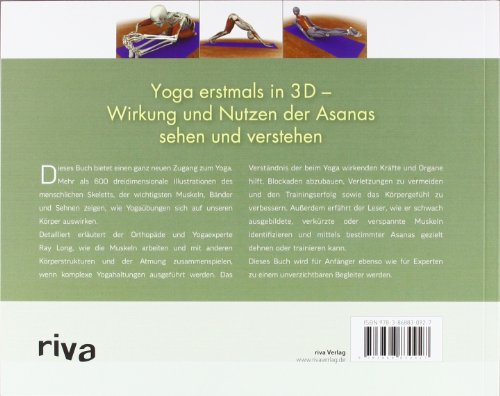 Yoga Anatomie 3d Band 1 Die Wichtigsten Muskeln Yoga Anatomie 3d Band 1 Die Wichtigsten Muskeln
