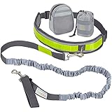 VITAZOO Jogging Hundeleine mit Bauchgurt in royalgrau, elastisch 1,2 m - 2,0 m, mit Reflektor-Streifen, ideal für mittelgroße und große Hunde | 2 Jahre Zufriedenheitsgarantie | Jogging-Leine, freihändig Joggen oder Spazieren gehen mit Hund