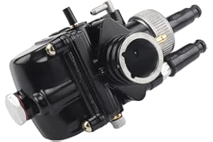 Geieold Motorrad Vergaser PHBG 19MM AD Vergaser für 50 100Cc Motor 2 Takt Rennmotor PHBG19, 500260653A2, Schwarz