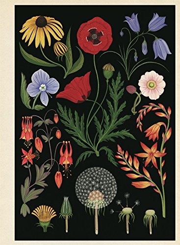 Botanicum Poster Book (Welcome To The Museum)