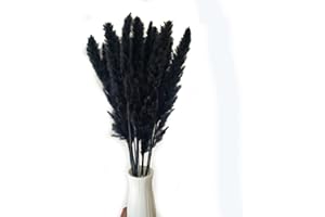 DONGAI Natural Hay Decoration -30 Stems, 17-inch Fluffy Pampas Grass, Natural Dried Reeds, Dried Flowers, Used for Wedding Decoration, Graduation Ceremony, Shop, Bohemian Home Decoration (black)