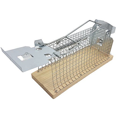 proheim Mause-Falle 15 cm 2er Sparset Lebend-Falle für Mäuse tierfreundliche Drahtkasten-Falle mit 1 Eingang hygienische Tierfalle - 3