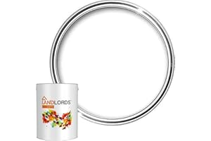 LANDLORDS PAINT Landlords Anti Damp Paint - Matt Finish, 5L in 20+ Colours, Damp Proof, Anti Condensation, Mould Paint for Wall and Ceiling, Satin White