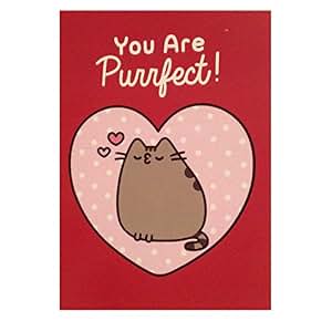 Pusheen the Cat Card Cute Love Valentine's: Amazon.co.uk: Office Products