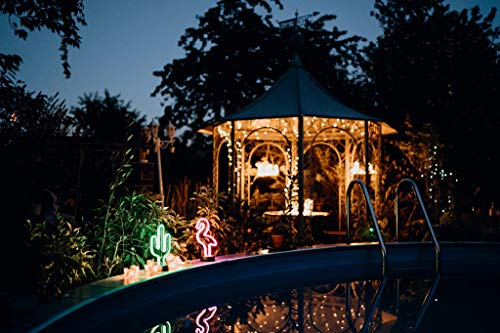 Price comparison product image Lichtnetz 2,0m x 2