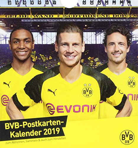 Preisvergleich Produktbild Borussia Dortmund Postkartenkalender - Kalender 2019