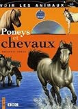 Poneys et chevaux (1DVD)